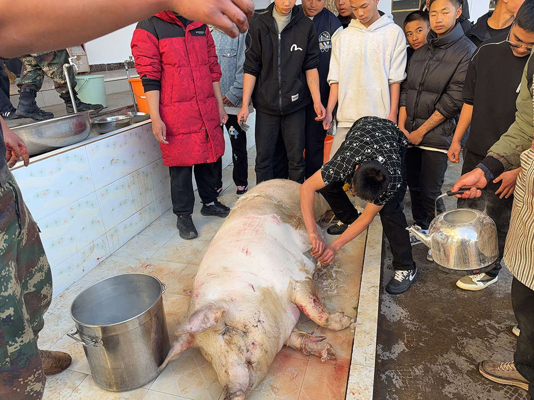 微信图片_20251231103442_5006_98.png